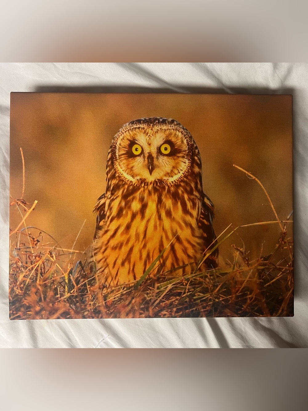 Hand Crafted Brown and Yellow Owl Wall Art
11x14 Canvas
